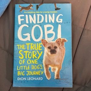 Finding Gobi